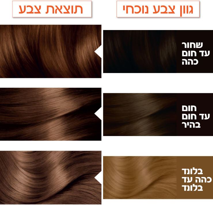 גרנייה צבע לשיער קולור נטורלס חום שוקולד Garnier 6.34
