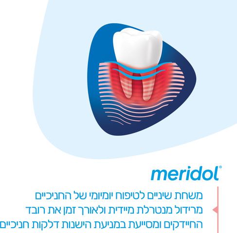 מרידול משחת שיניים פרודונט אקספרט Meridol