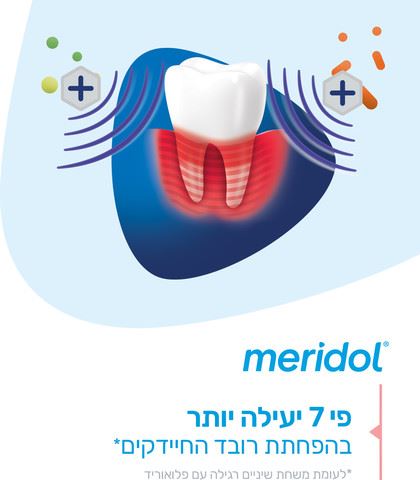 מרידול משחת שיניים פרודונט אקספרט Meridol