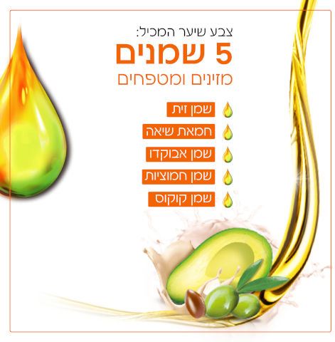 גרנייה צבע לשיער קולור נטורלס חום שוקולד Garnier 6.34