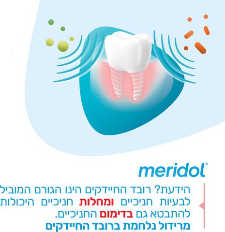 מרידול משחת שיניים להגנה על החניכיים Meridol