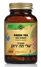 Green Tea leaf extract 60