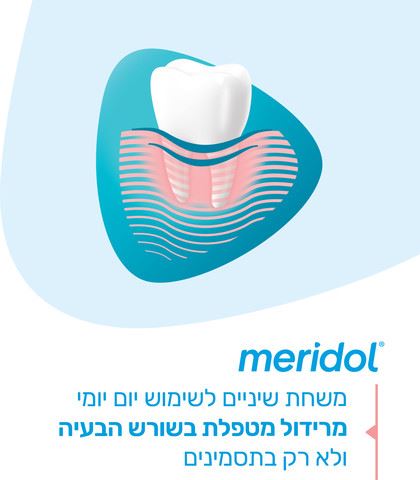 מרידול משחת שיניים להגנה על החניכיים Meridol