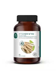 ברא צמחים שורש אשווגנדה 60 כמוסות Bara Herbs Ashwagandha Root 60 Capsules